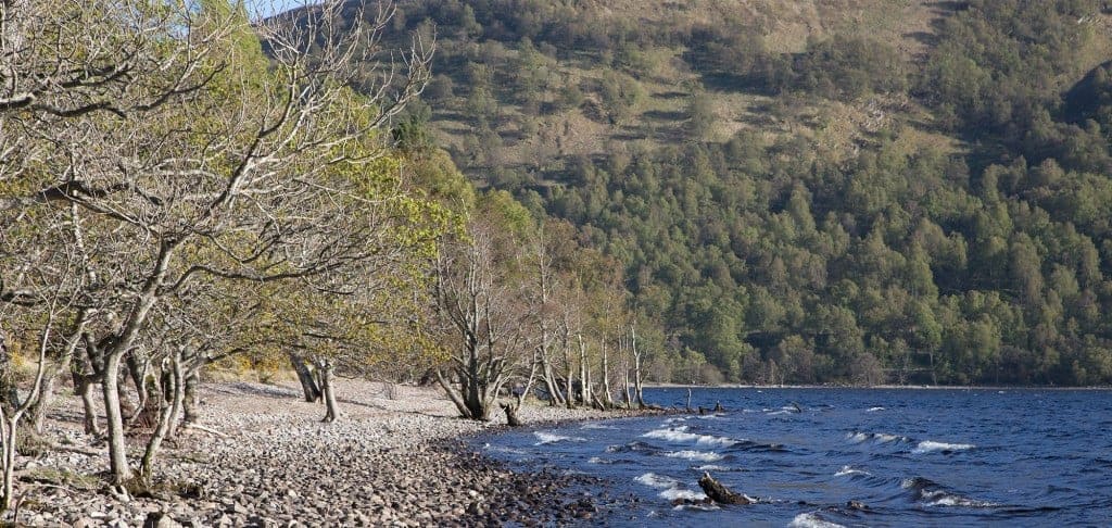 The Blackwood of Rannoch: Ideal for Scottish Walking Holidays